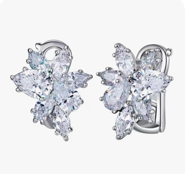 Harry Winston Earrings